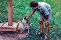 1992 Australia Roo