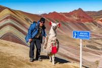 Rainbow Mountain Portraet with Lama