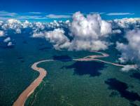 Tambopata River and Amazon
