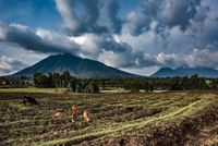 Rwanda Landscape