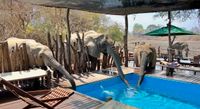 3 Elefants at the Pool